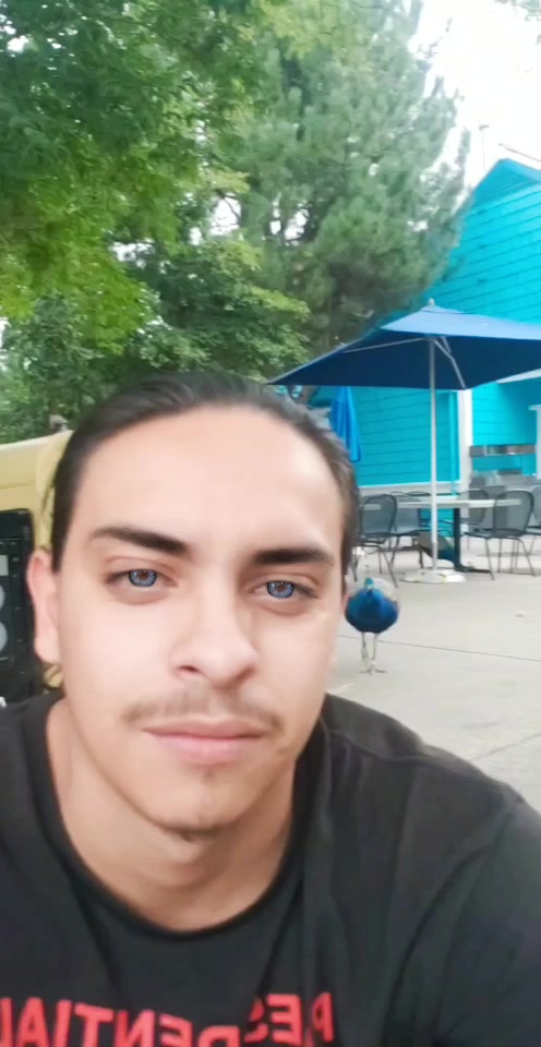 @Bonez303