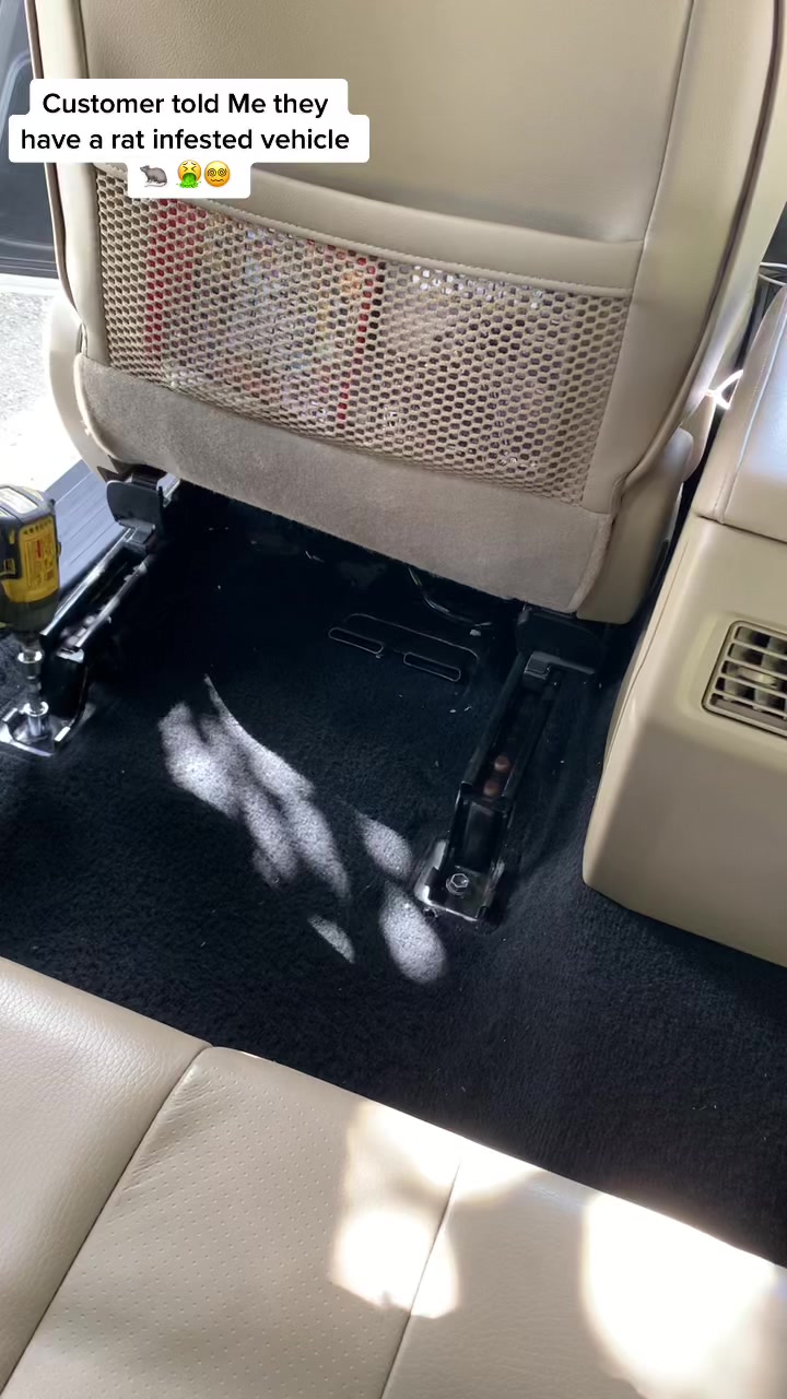 @UrFavoriteCaribbeanDetailer🧼