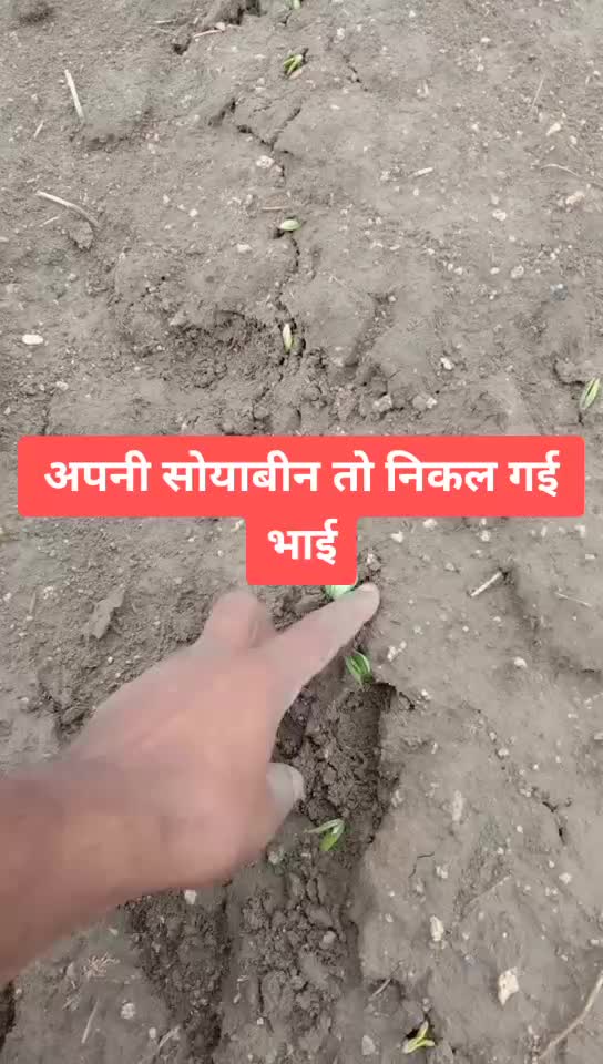 @kamlesh parmar