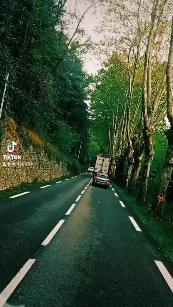 @Гордый Волк 🇫🇷🇪🇪