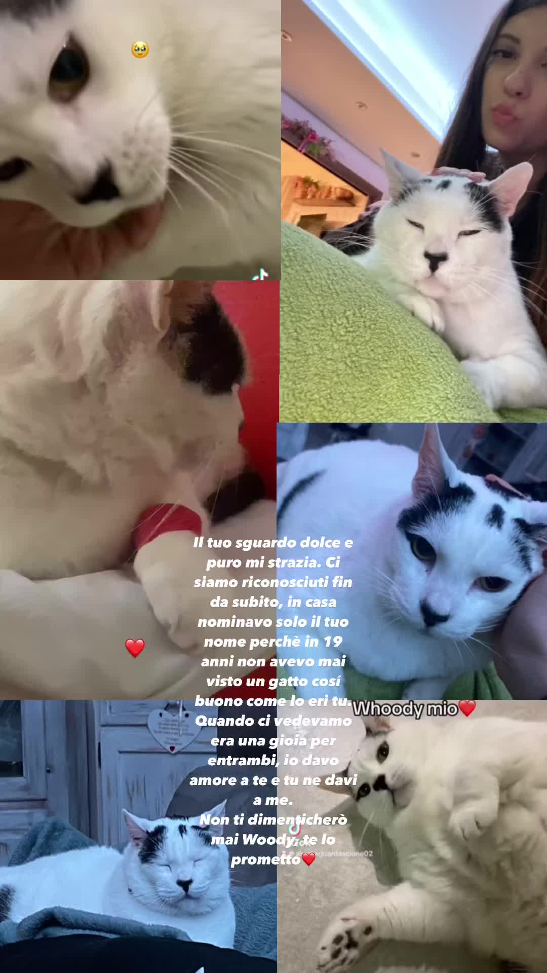 @Alessia Guardascione