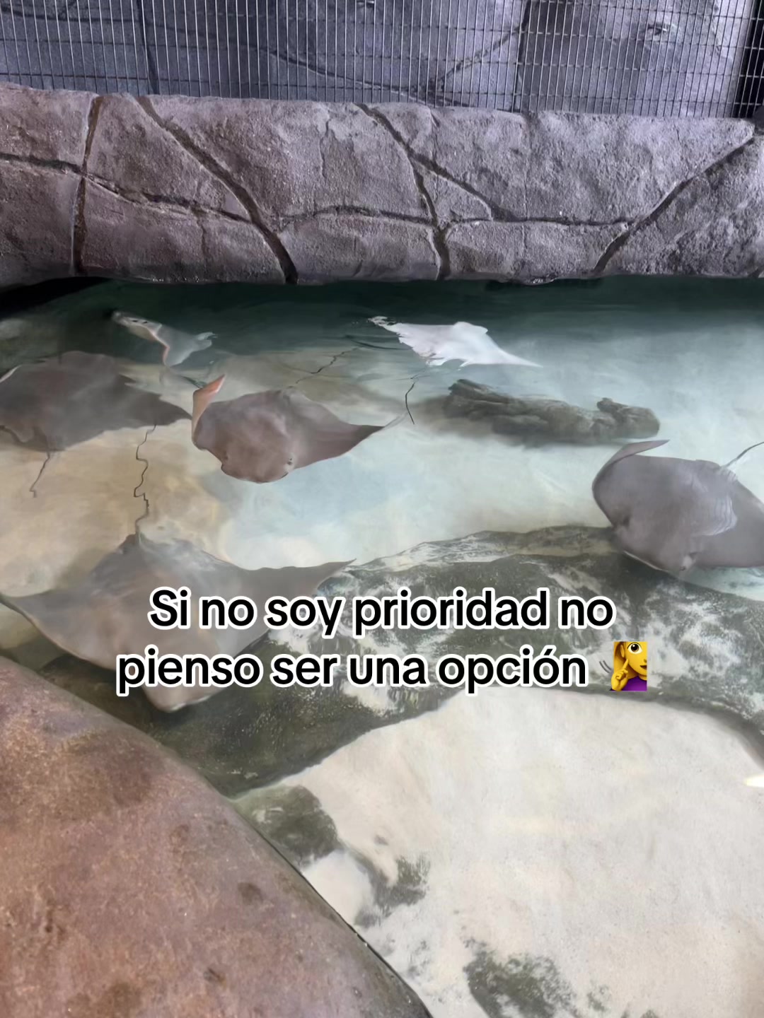 @usuarionomeconoces