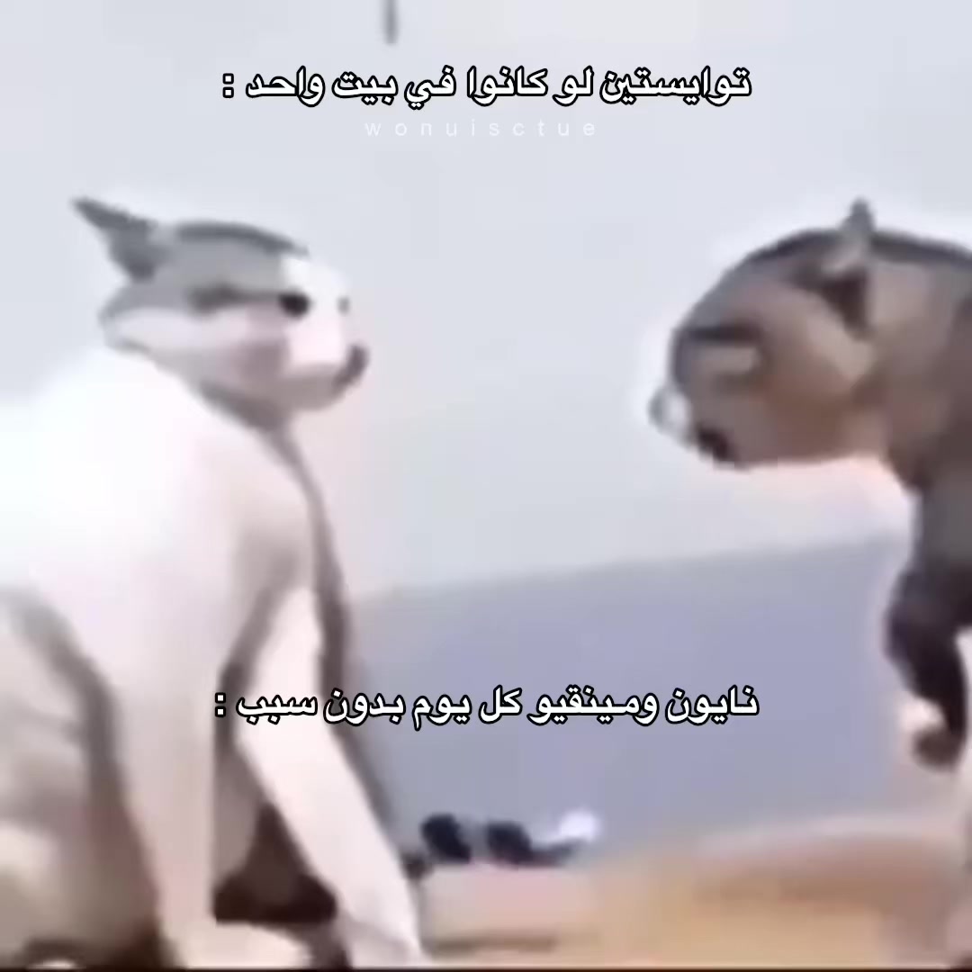 @رُودِي⁷¹⁷ 🎓.