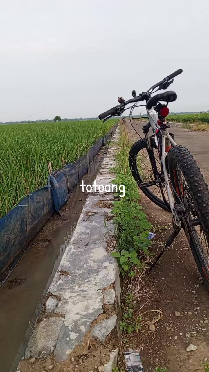 @Abd. syukur