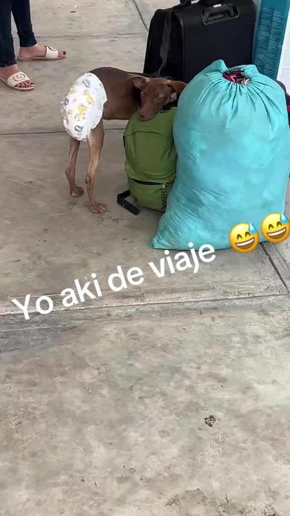 @❤️😍