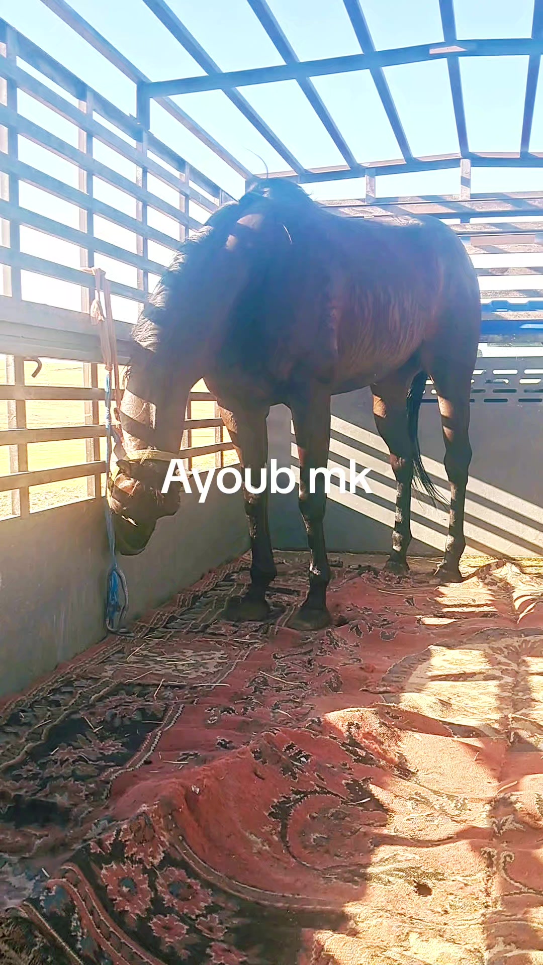 @Ayoub mk