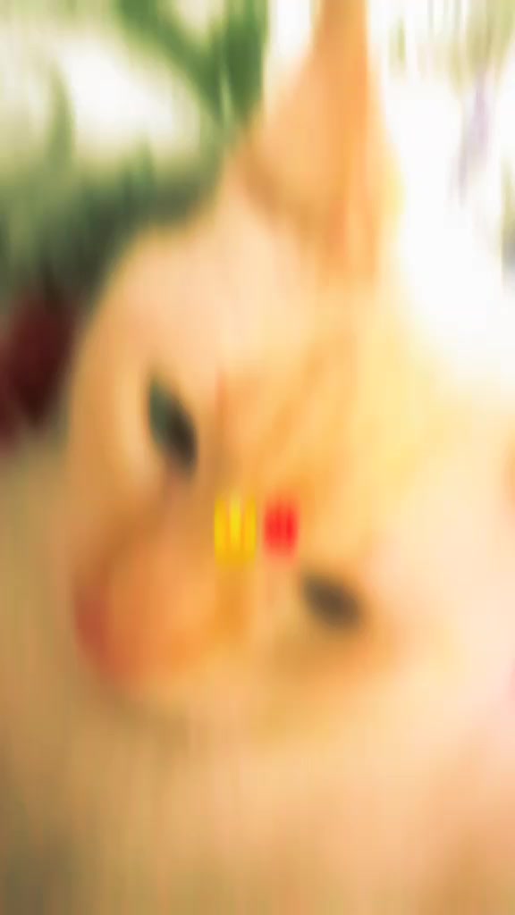 @Natalia N
