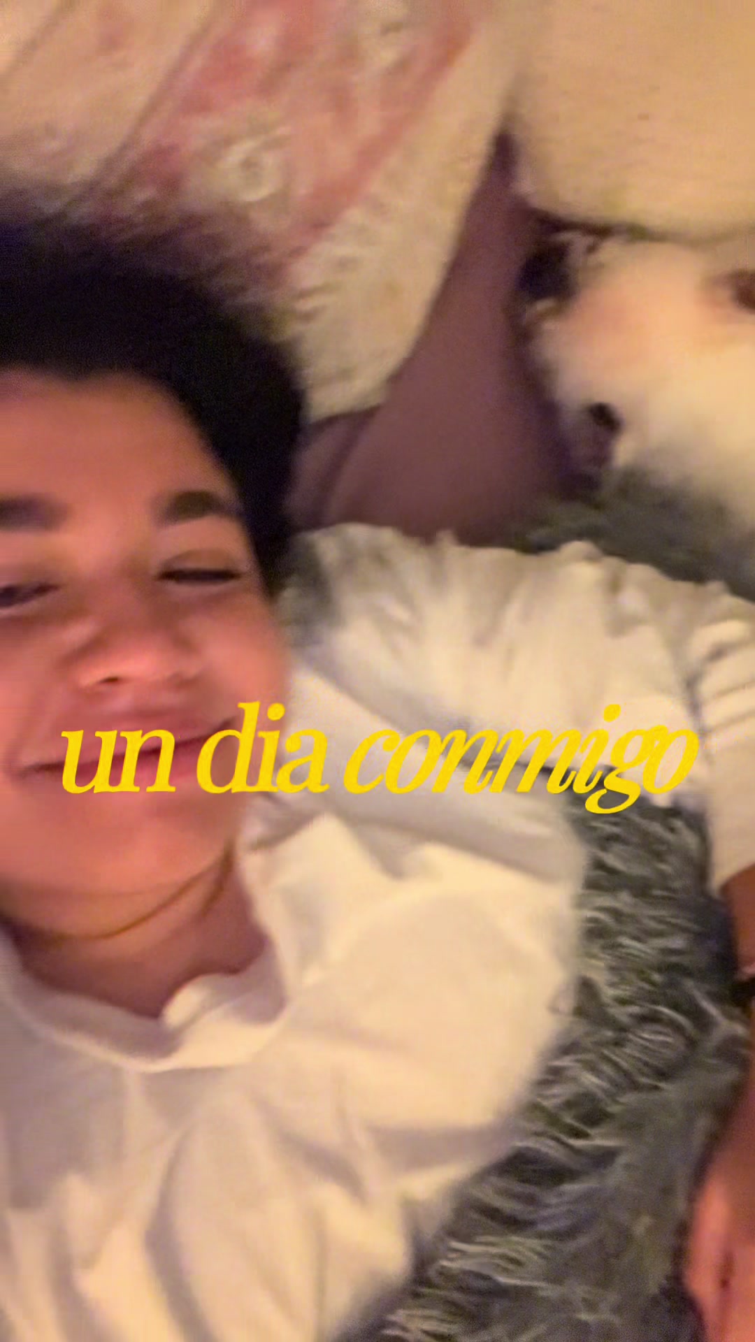 @diariamentemagui