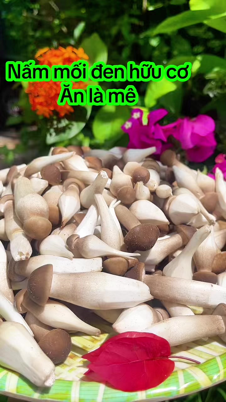 @nguyentuyet_79