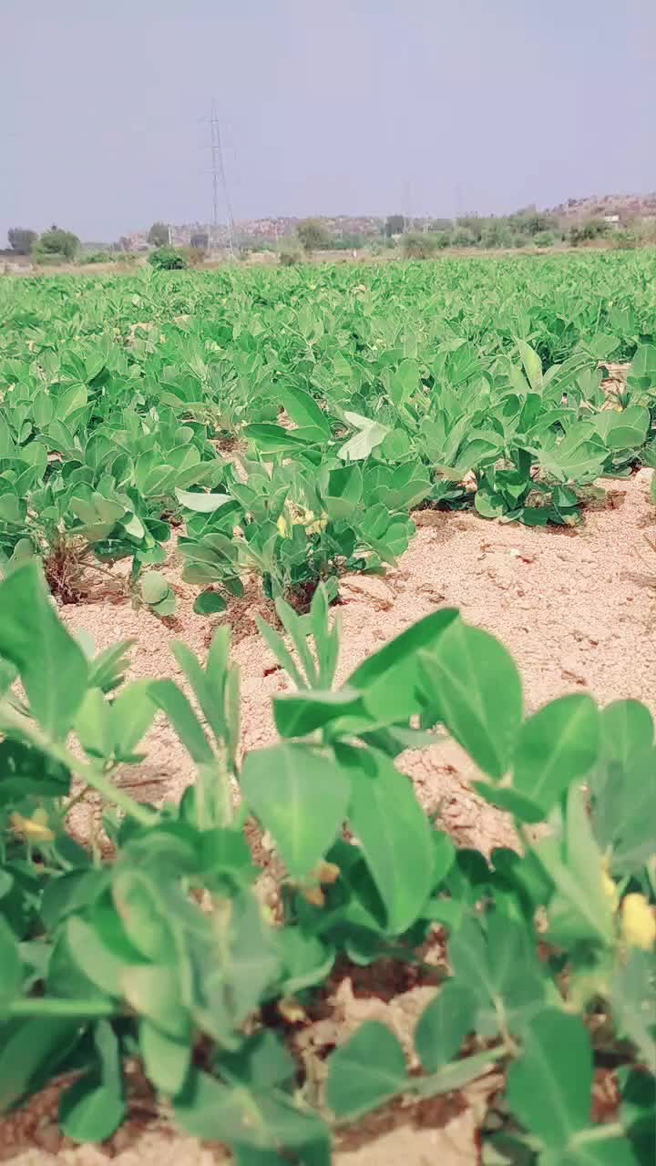 @Srinuvas కేషన్నగారి