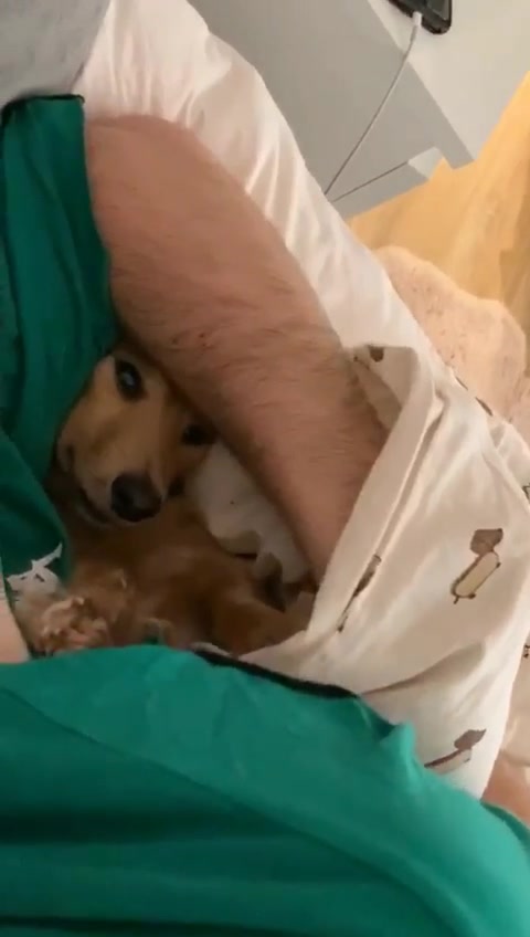 @Zarathesausage