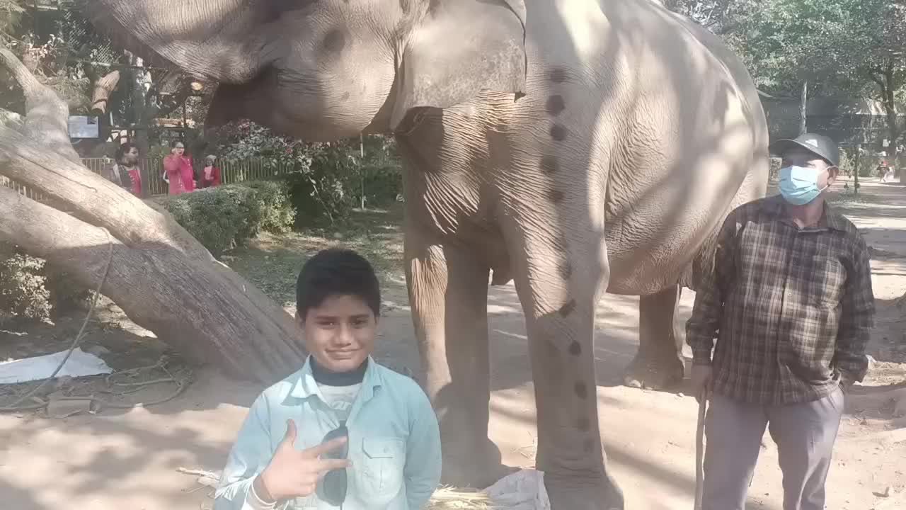 @Subodh Jha
