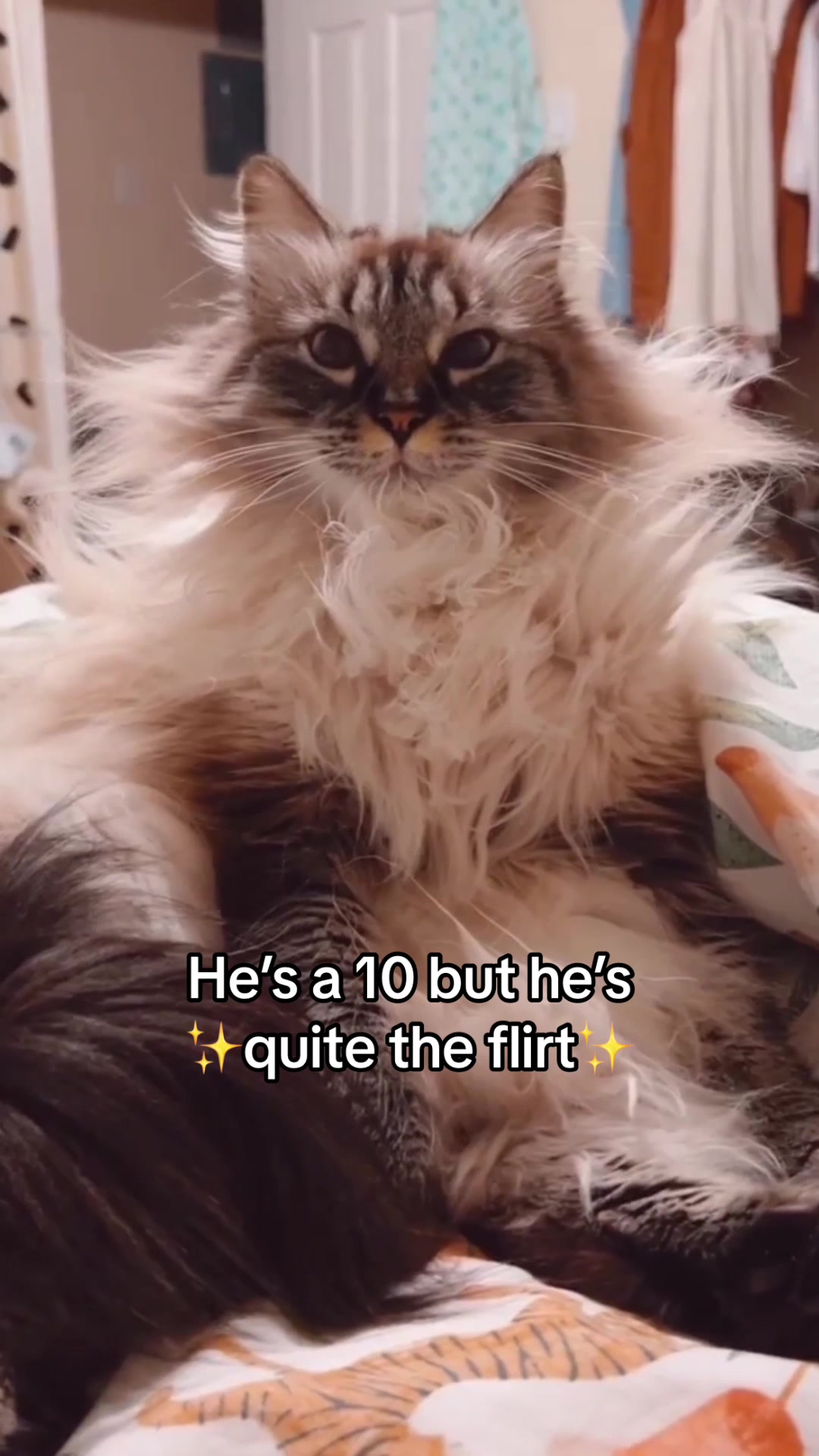 @My Cat Is People 🇨🇦