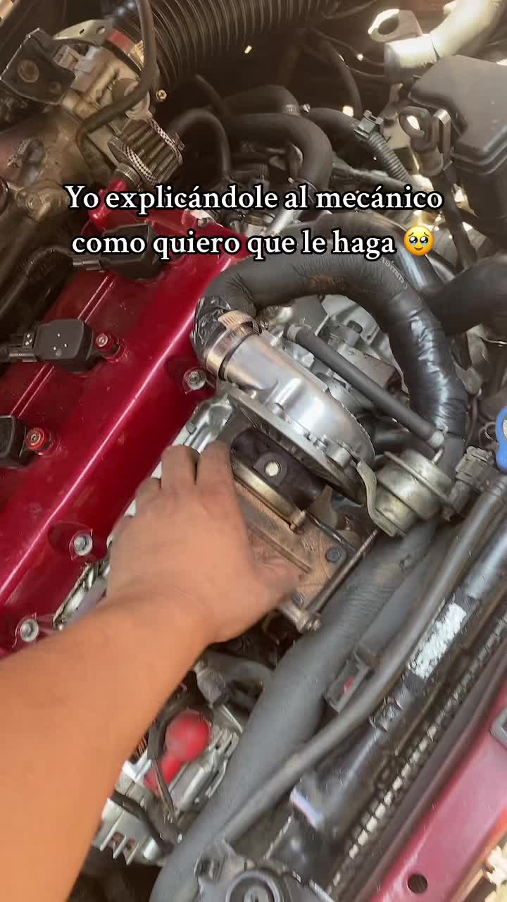 @Bernie Ardón🧸