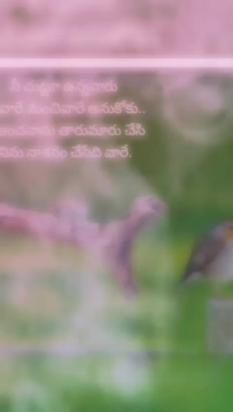 @Kumar P.M(PS)