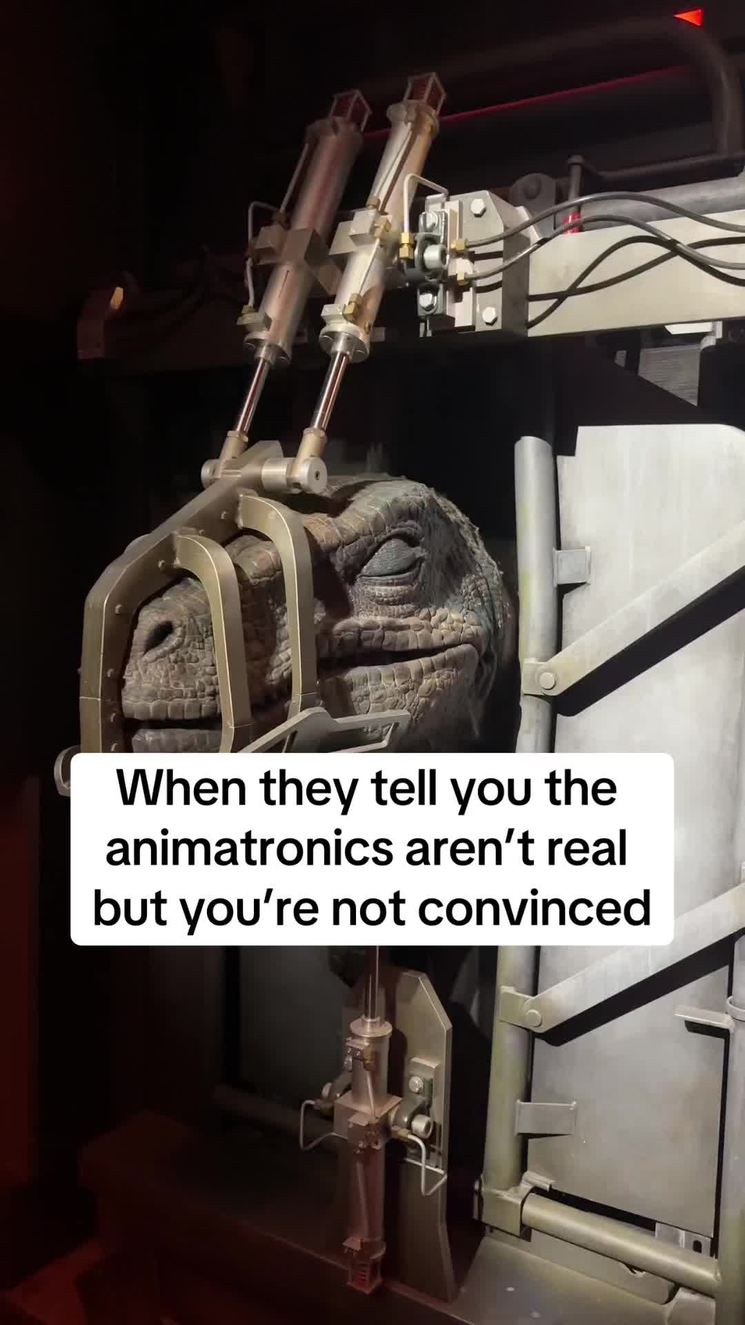 @the_theme_team_