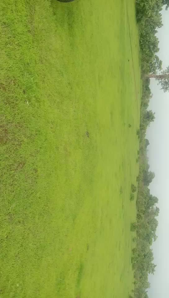 @Avinash Punjara