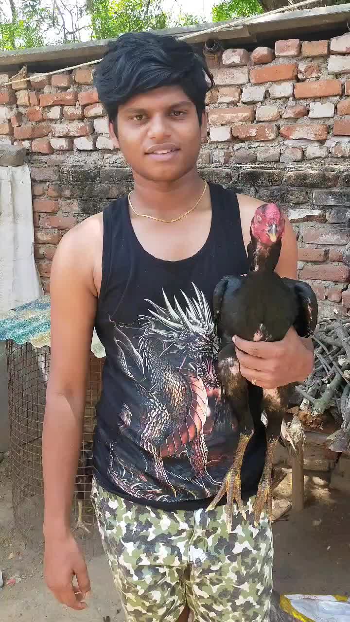 @Brijeshraja