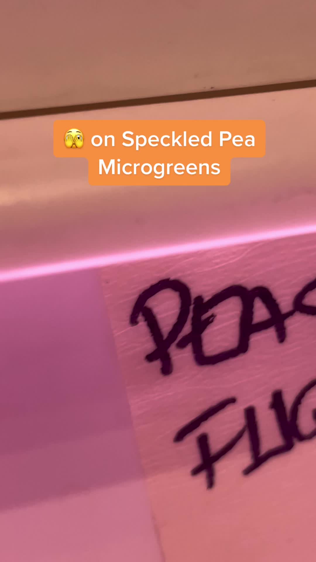 @shorecrestmicrogreens