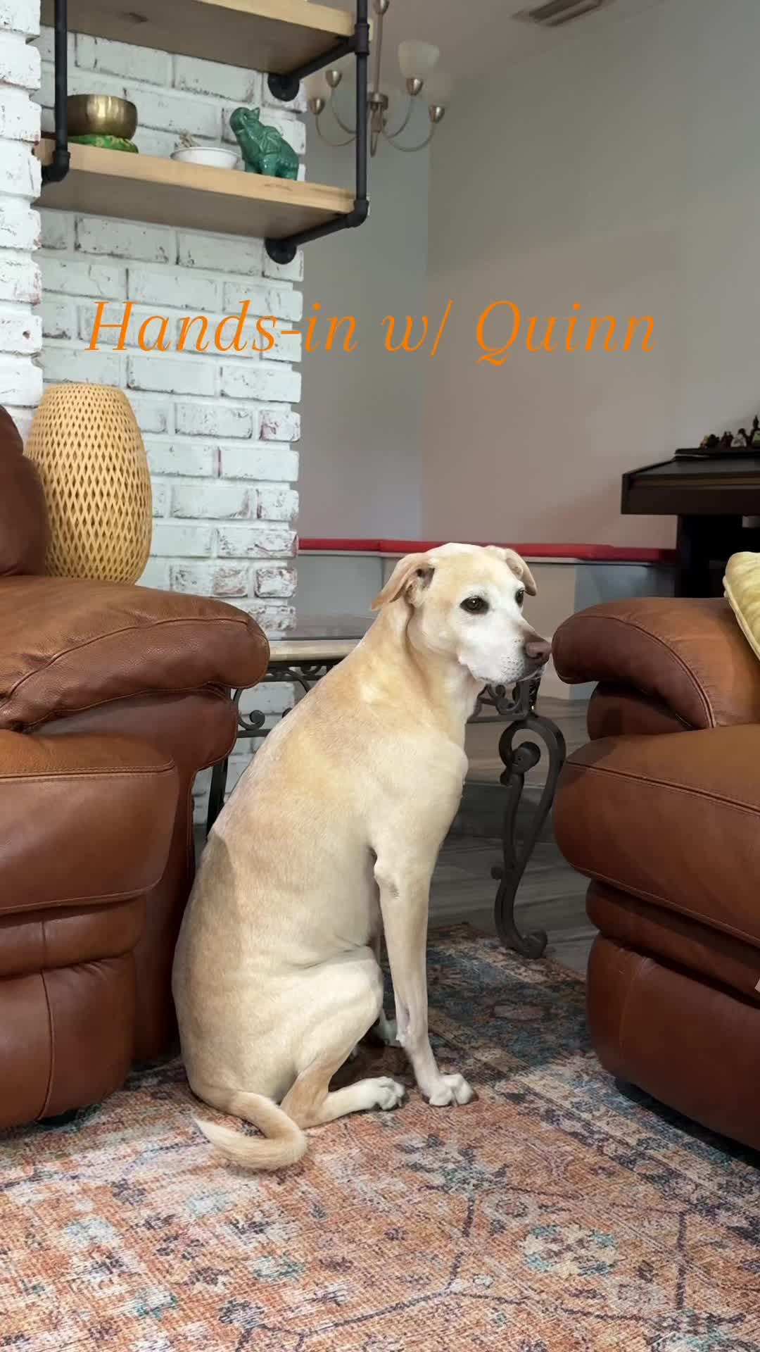 @Quinn-Tok