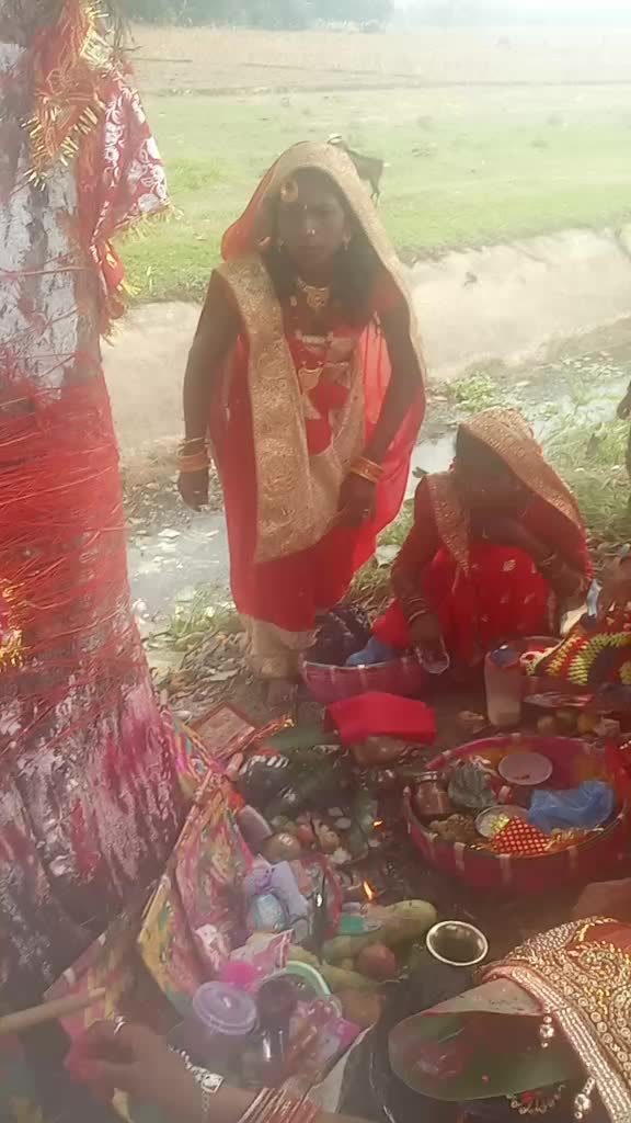 @kamalishpandit2