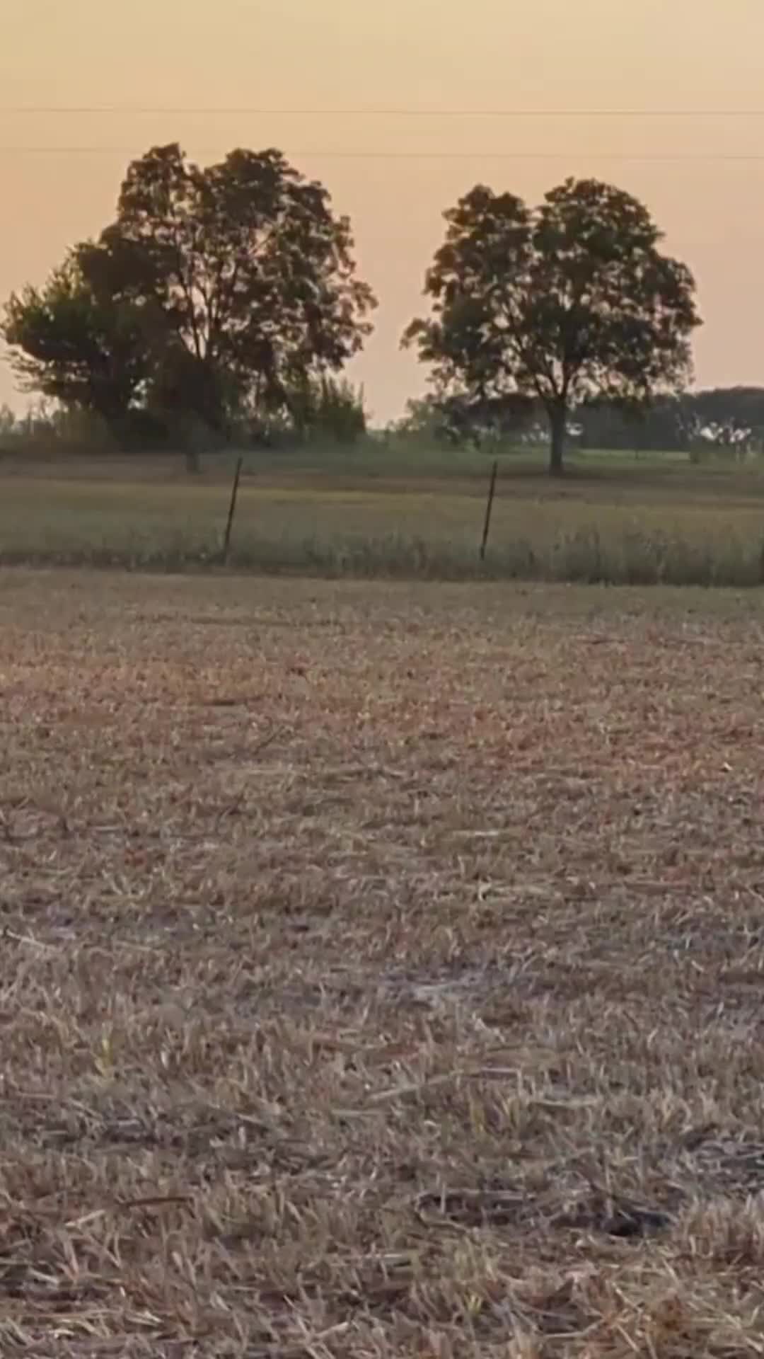 @ℒℯ𝓍𝒾𝒾𝒾𝒾 𝒟𝒶𝓌𝓃