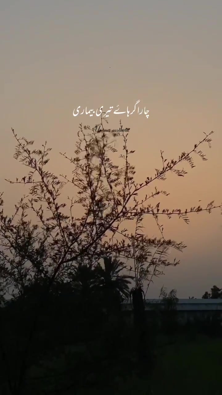 @🫀۔