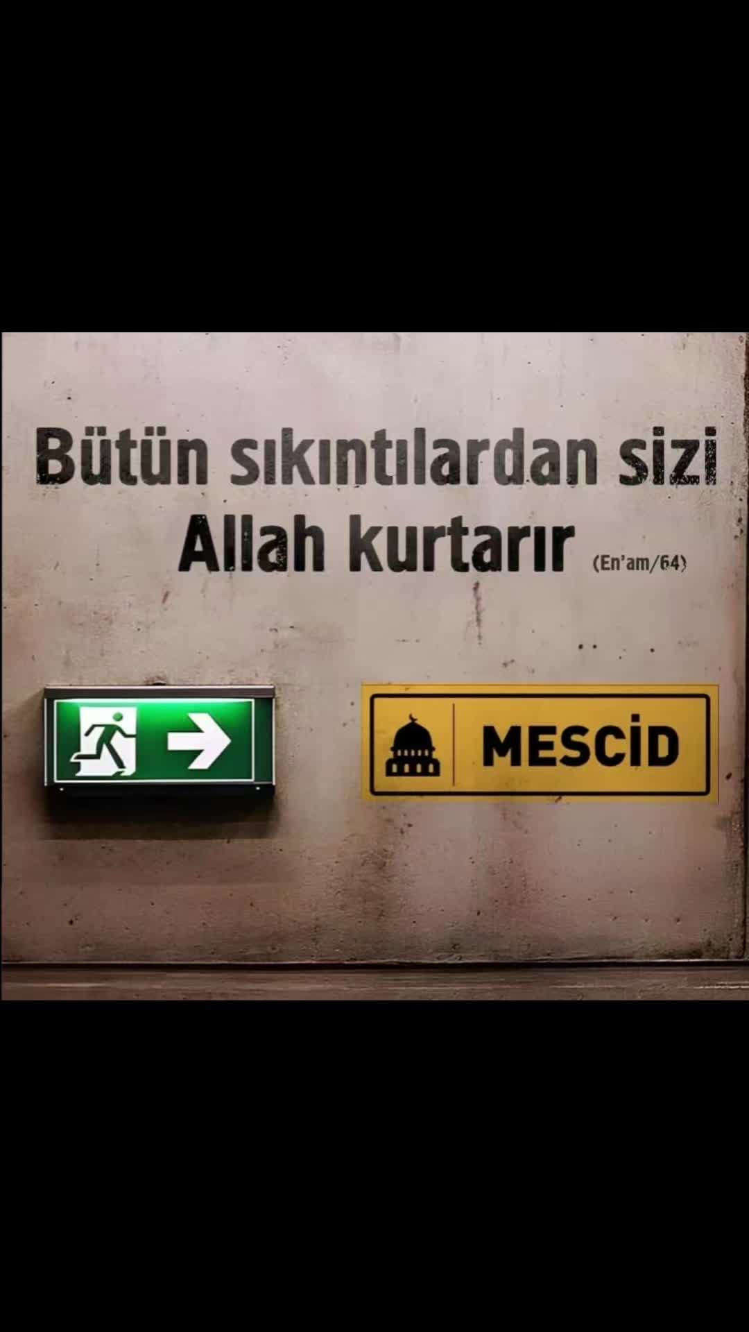 @🇹🇷nevo🇹🇷