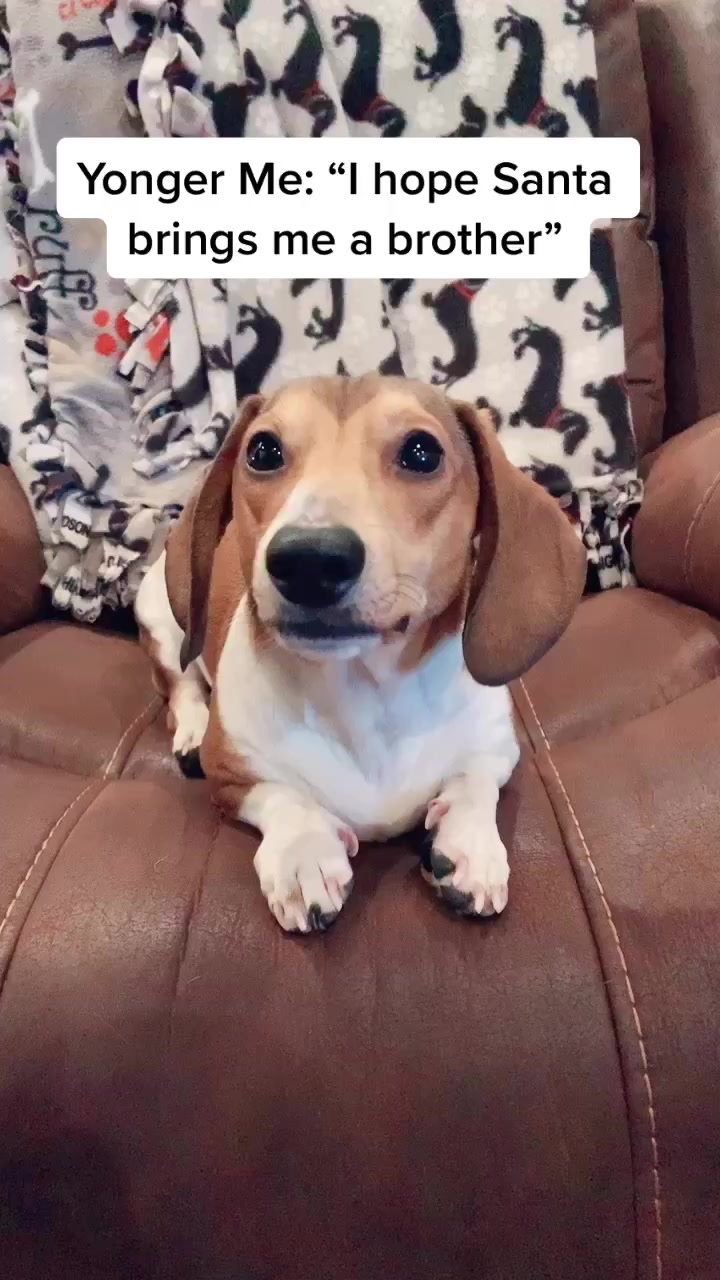 @@ballparkdoxies