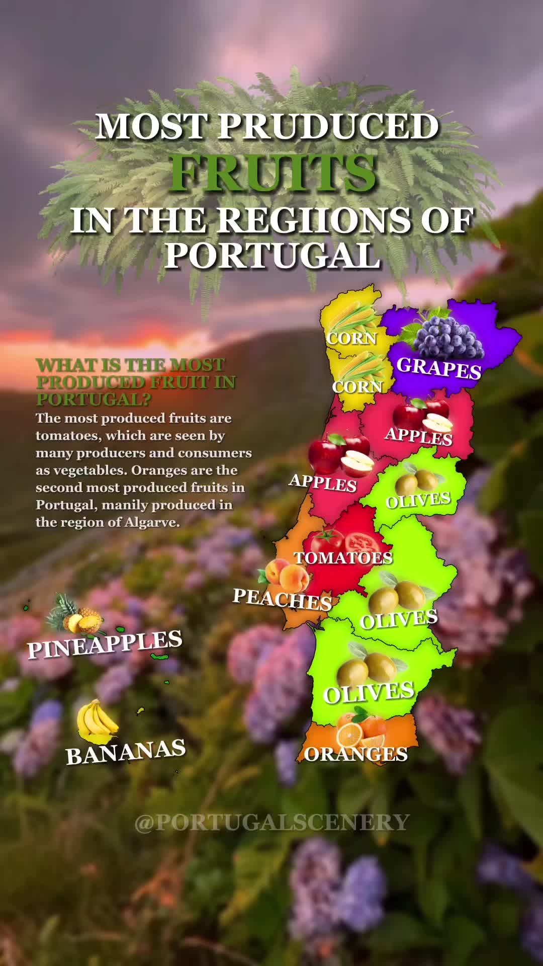 @portugalscenery