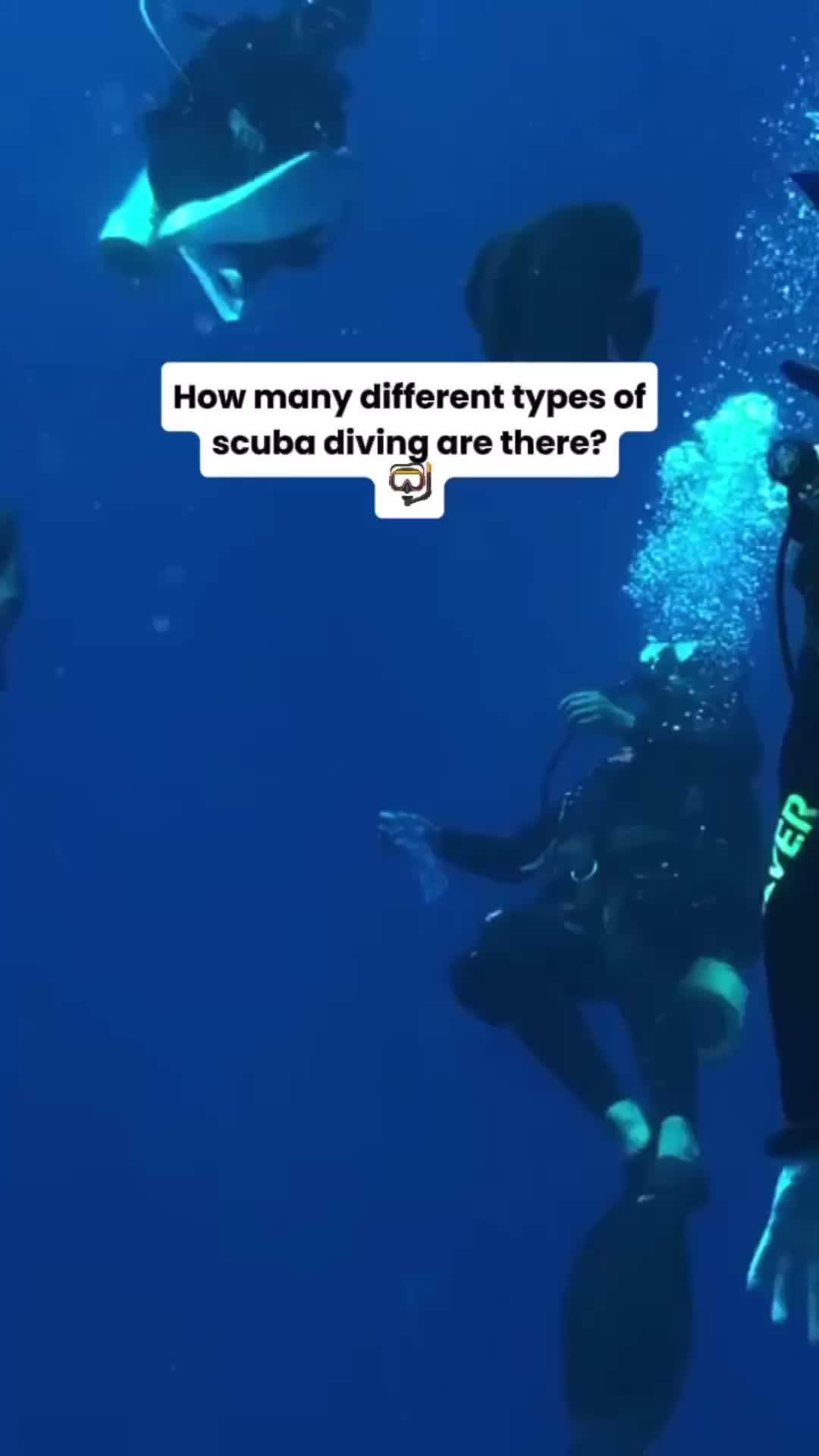 @Divernowmarine