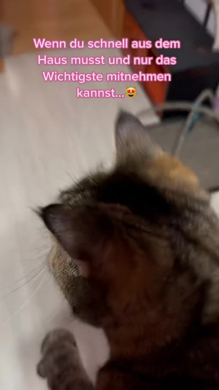 @Fellbande😻 🐾& Dosi Ulrike😽