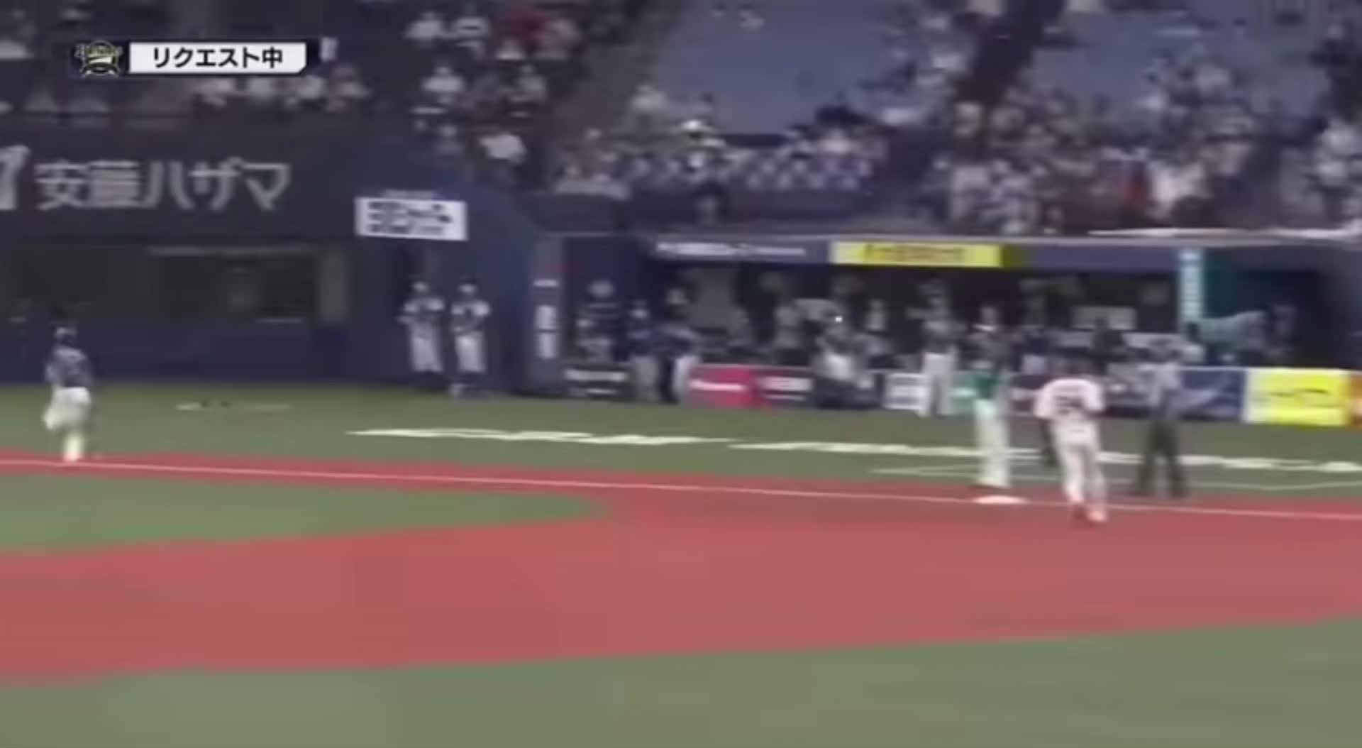 @ドラゴンズ優勝団🥇