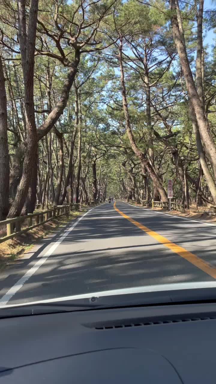 @姜