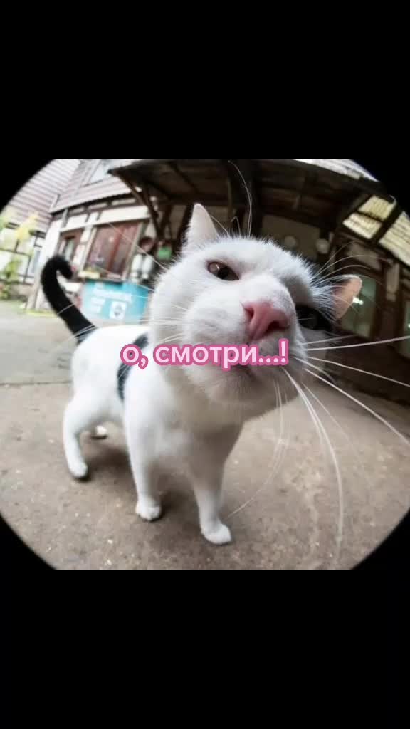 @комертат