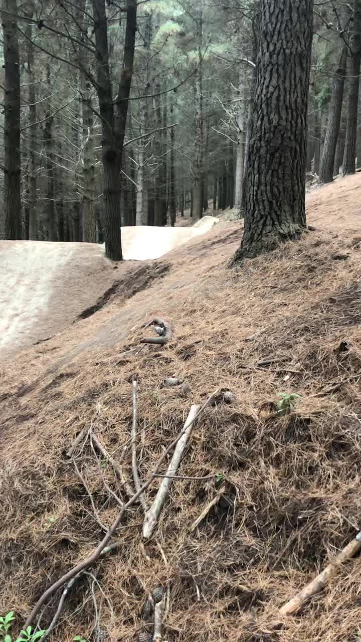 @MTB shredder’s