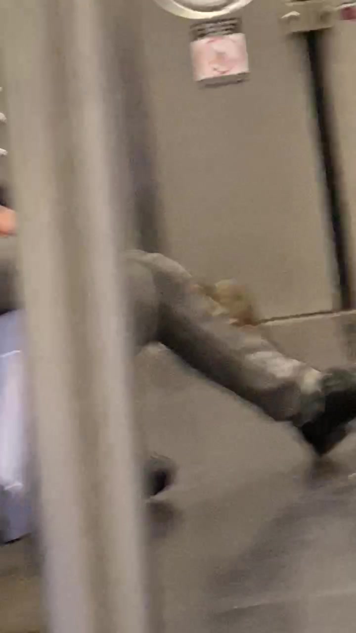 @SubwayCreatures