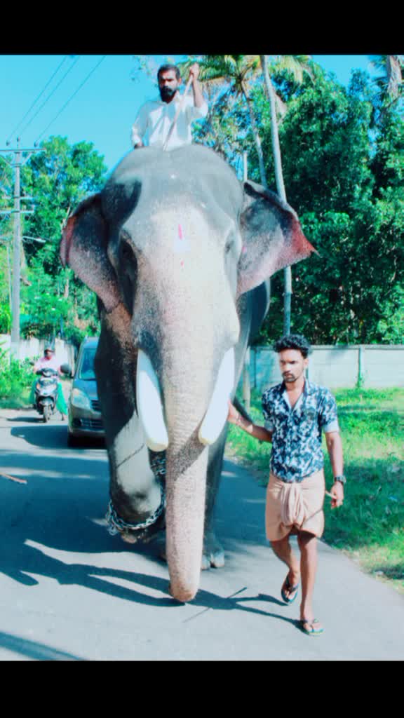 @ഒറ്റയാൻ
