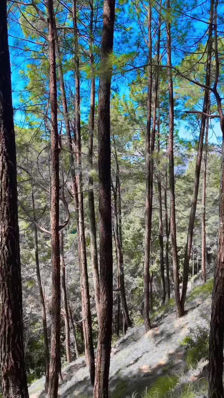 @Rishi 🕉️🔱
