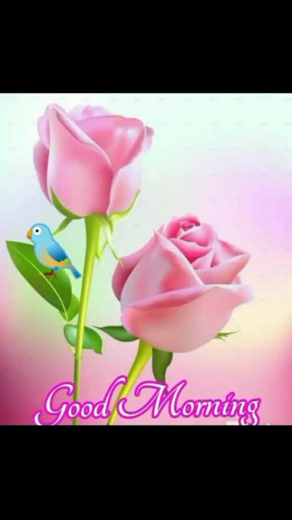 @Rajiya Khatoon