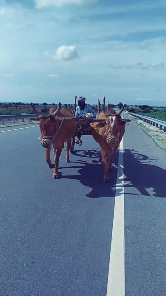 @anji yadav