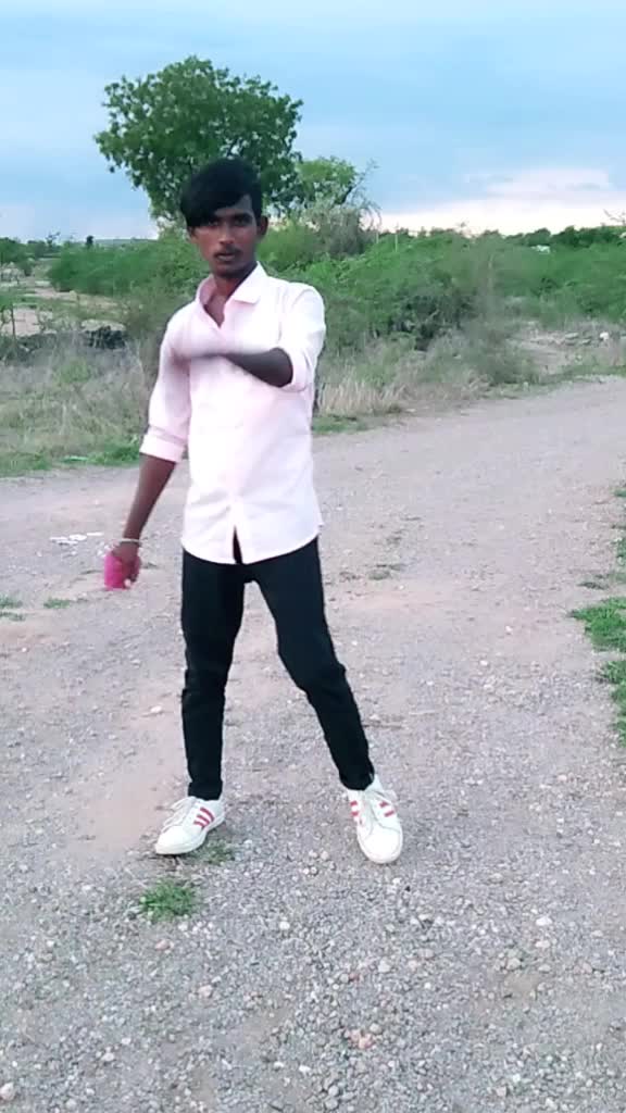 @bollepoguirmiya831