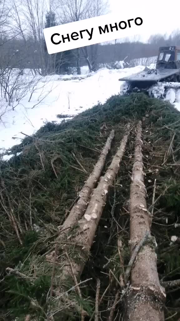 @Андрей Шубин