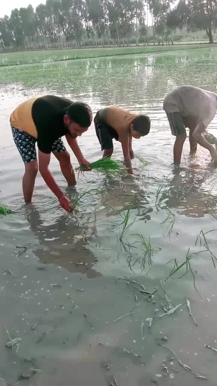 @Raj_official_jatav