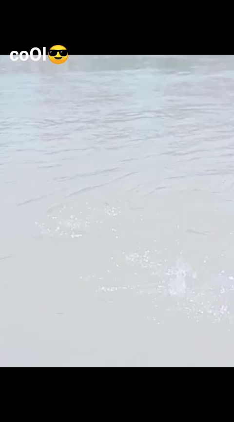 @___ziddi___