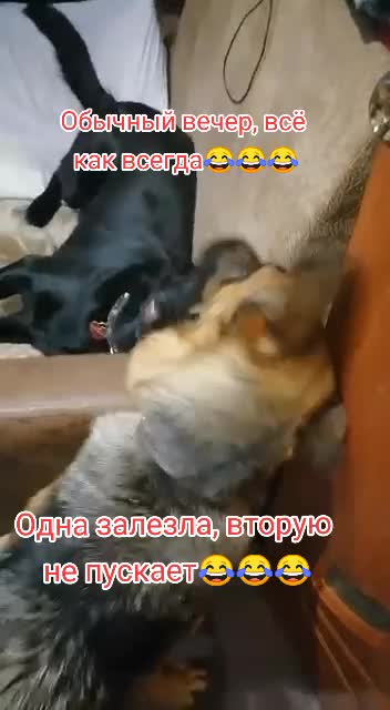 @Irinagerasimova