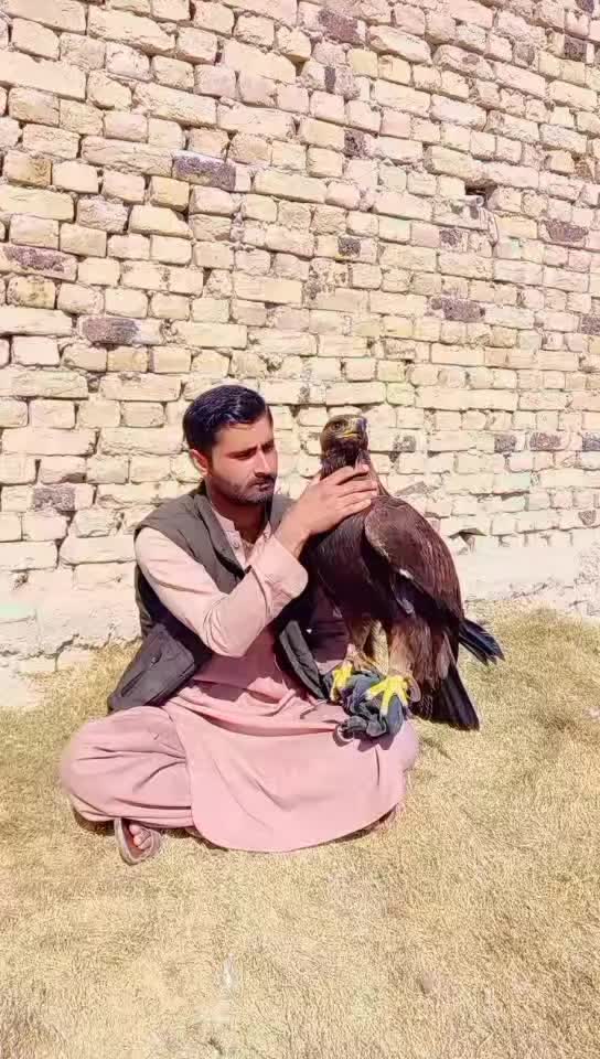 @🦅Hunter Zehri🪶