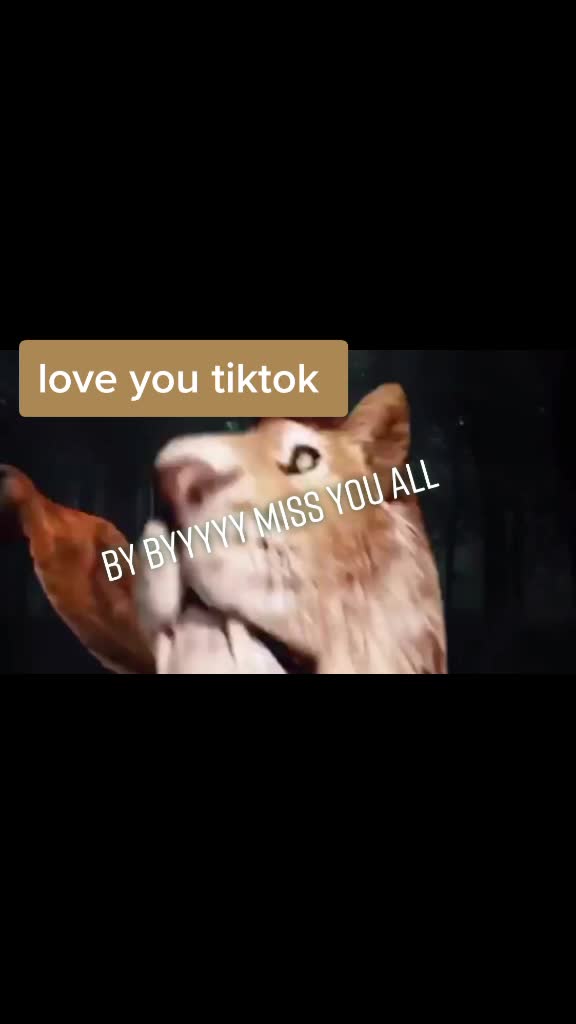 @Kaif tyagi