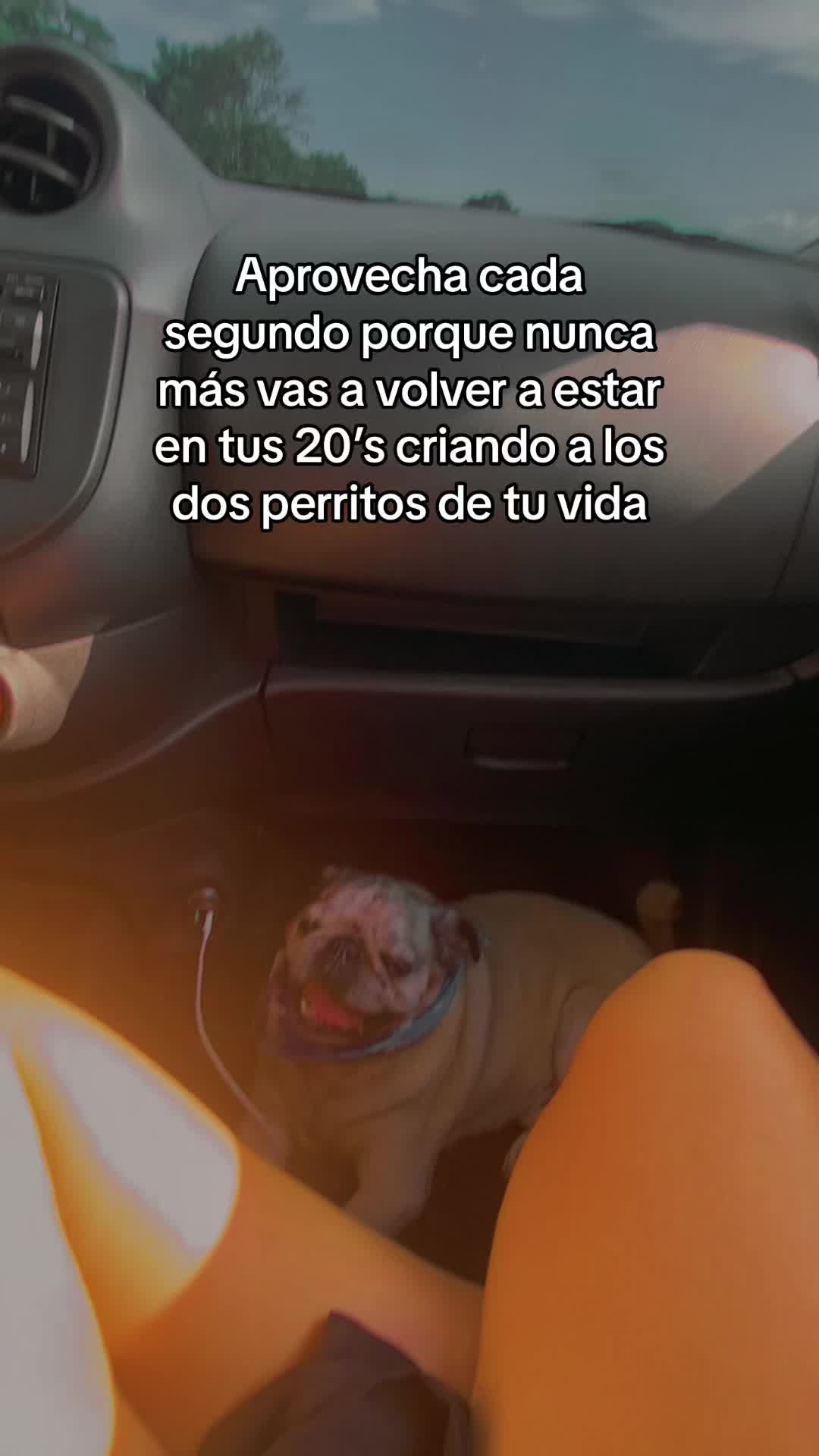 @Camila Beltrán 🦋🌸
