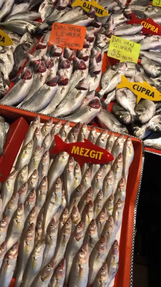 @Yılmaz Balıkçılık
